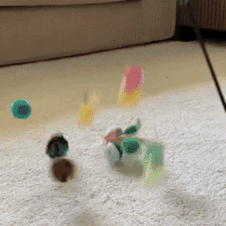 Vista 4 de PELOTA INTELIGENTE PARA GATOS CON USB C